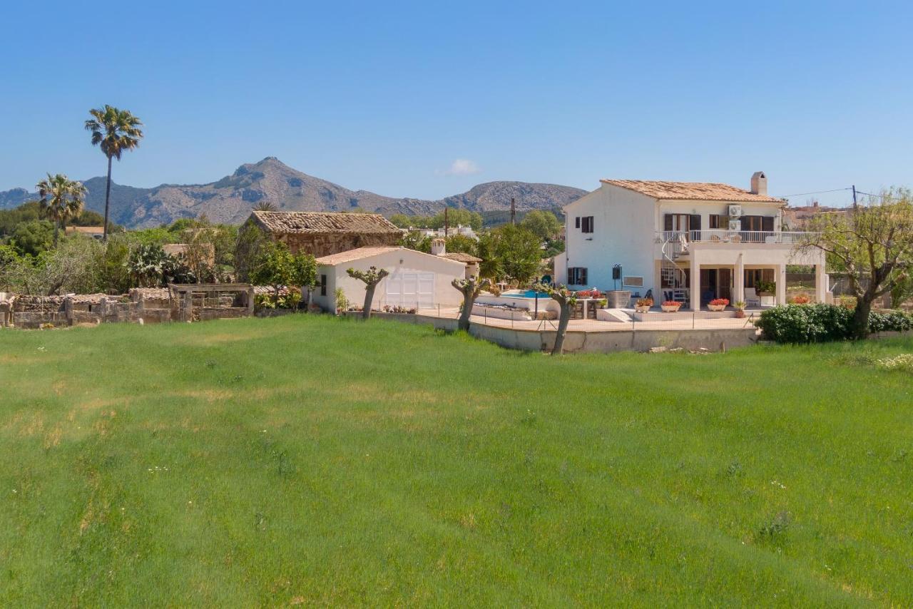 Nyany Alcudia (Mallorca)